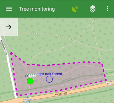 styling_line_types_polygon_measure_area